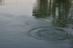 DSC_0123-lq.jpg